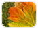 ferien herbst 2025
