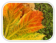 herbstferien 25